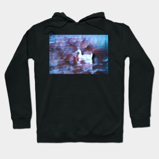 duck painting Hoodie